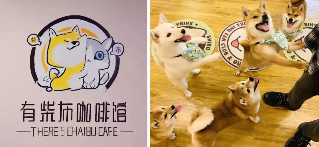 微信图片_20190513003540.jpg