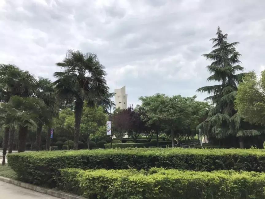 微信图片_20190516103747.jpg